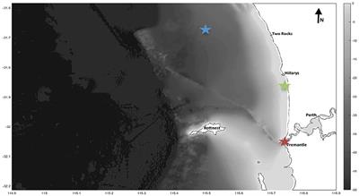 Plastic Pollution Patterns in Offshore, Nearshore and Estuarine Waters: A Case Study from Perth, Western Australia